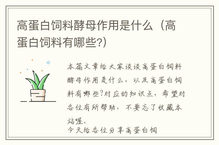 高蛋白飼料酵母作用是什么(高蛋白飼料有哪些?)
