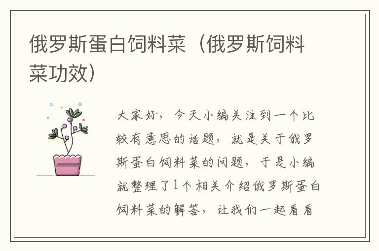 俄羅斯蛋白飼料菜(俄羅斯飼料菜功效)