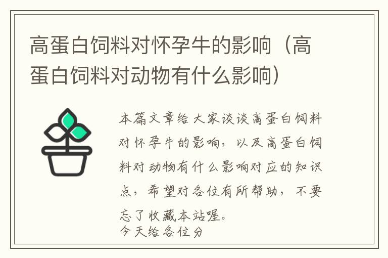 高蛋白飼料對(duì)懷孕牛的影響（高蛋白飼料對(duì)動(dòng)物有什么影響）