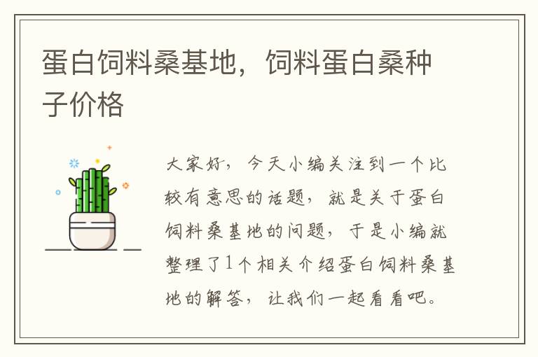 蛋白飼料桑基地，飼料蛋白桑種子價格