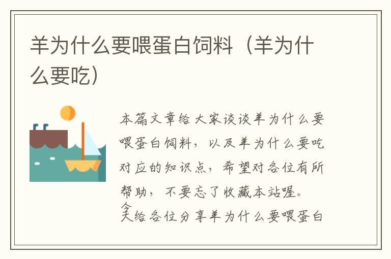 羊為什么要喂蛋白飼料(羊為什么要吃)