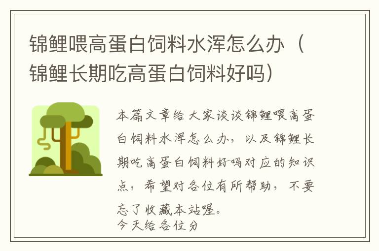 錦鯉喂高蛋白飼料水渾怎么辦(錦鯉長期吃高蛋白飼料好嗎)