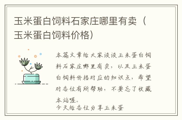 玉米蛋白飼料石家莊哪里有賣（玉米蛋白飼料價(jià)格）