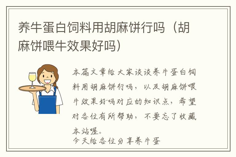 養(yǎng)牛蛋白飼料用胡麻餅行嗎（胡麻餅喂牛效果好嗎）