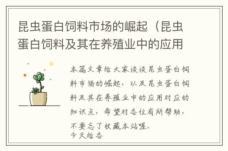 昆蟲(chóng)蛋白飼料市場(chǎng)的崛起(昆蟲(chóng)蛋白飼料及其在養(yǎng)殖業(yè)中的應(yīng)用)