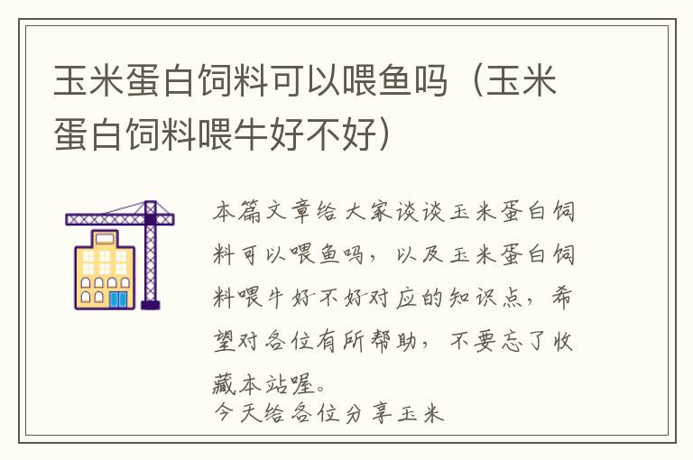 玉米蛋白飼料可以喂魚嗎（玉米蛋白飼料喂牛好不好）