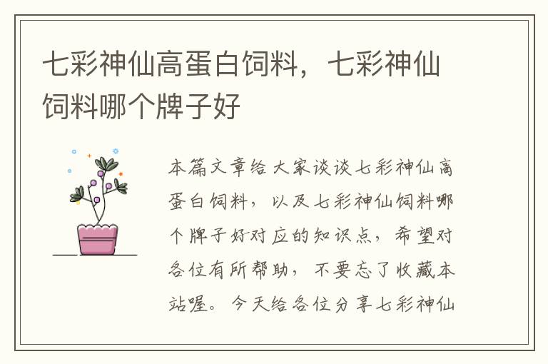 七彩神仙高蛋白飼料，七彩神仙飼料哪個牌子好