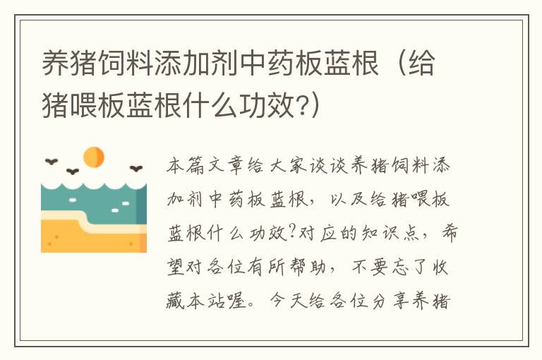 養(yǎng)豬飼料添加劑中藥板藍根（給豬喂板藍根什么功效?）